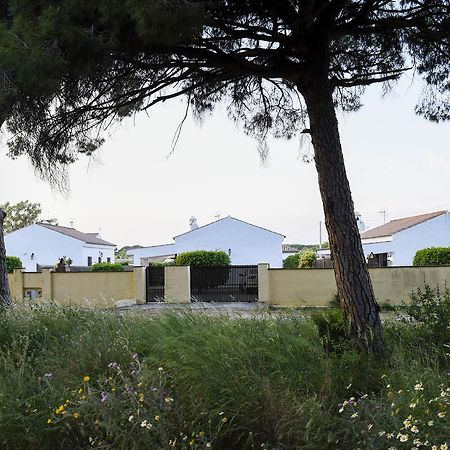 Villas Perez Zara Conil De La Frontera Exteriör bild